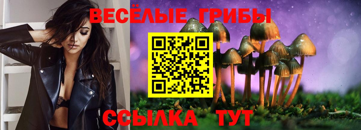 Псилоцибиновые грибы Psilocybe  Вход с VPN  Киреевск 