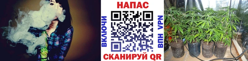 как найти закладки  Киреевск  blacksprut ONION  Бошки марихуана Ganja 